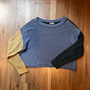 AE Colorblock Cropped Knit Sweater